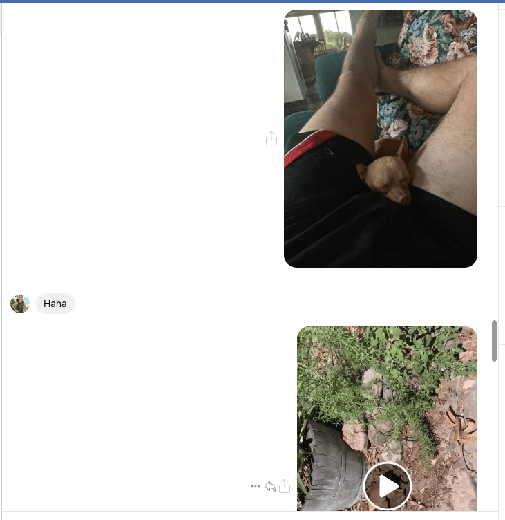 Screen Shot 2019-06-27 at 11.32.56 PM